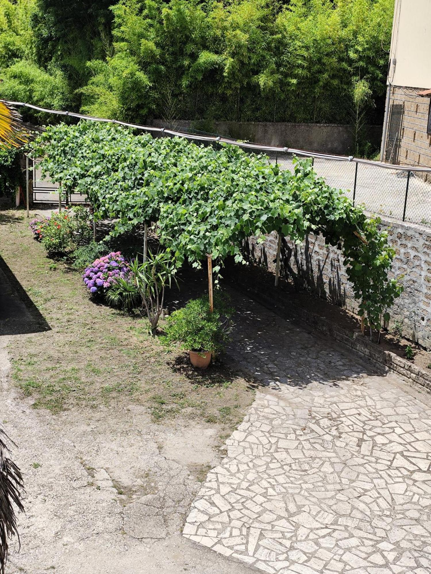 Apartamento La Casina Di Karol Ronciglione  Exterior foto